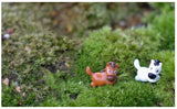 XBJ109 Mini 6PCS pony decor supplies moss micro landscape deco  Garden deco Creative handicrafts