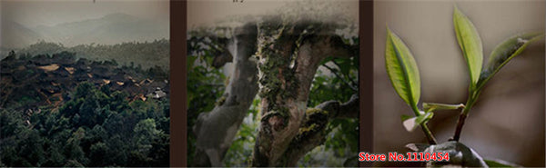 TemuTea China 5pcs*100g Pu-erh Black tea cakes natural cooked tea manufactured old tea