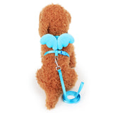 Cute Angel Pet Dog Leashes and Collars Set Puppy Leads for Small Dogs Cats Designer Wing Adjustable Dog Harness Pet Accessories