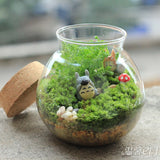 XBJ056 Moss Bottle Micro Landscape Accessories Material Dedicated Ecology Glaucum Home Yard Garden Bonsai Decoration