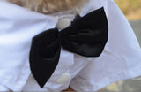Western Style Men's Suit Bow Tie Small Pet Dog Clothes For Small Dogs Boy Puppy Apparel Jumpsuit Cheap Pet Clothes Drop Shipping