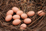 XBJ037 Mini Egg Resin Quail Eggs 12pcs Pigeon Eggs Simulation Mini Bird Egg Dollhouse Moss Micro Landscape Ornaments
