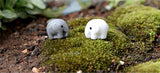 XBJ141 Mini 5pcs Elephant fleshy decoration supplies moss micro landscape deco  Garden deco Creative handicrafts