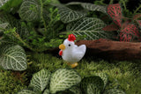 XBJ160 Mini 5pcs White little cock decoration supplies moss micro landscape deco  Garden deco Creative handicrafts