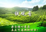 250g Top grade Chinese Oolong tea TiKuanYin Green Tea Weight Loss organic