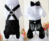 Western Style Men's Suit Bow Tie Small Pet Dog Clothes For Small Dogs Boy Puppy Apparel Jumpsuit Cheap Pet Clothes Drop Shipping