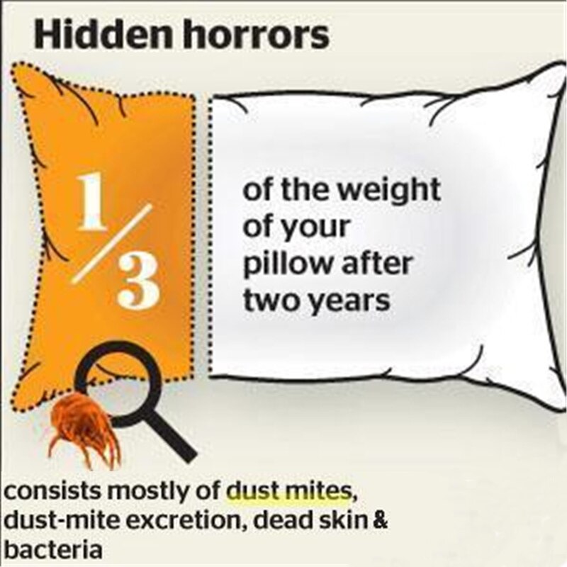 Herbal Dust Mite Eliminator Mite Remover Reduces Acne & itching Safe for use on your bed sheets, mattresses, pillows 2 Packs