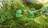 XBJ094 Mini 5pcs Blue eyes small frogs decoration supplies moss micro landscape deco  Garden deco Creative handicrafts