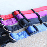 CW019 New Fashion Nylon dog collars for small dogs Pet Cat Collar 4 Sizes 4 colors adjustable dog collar nylon wholesale