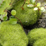 XBJ009 Miniature 1pc Stone Moss Garden Craft Fairy Bonsai Plant Decor Marimo Stone Artificial Moss Foam Stone Green Plant
