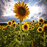 HELLOYOUNG DIY Handpainted Oil Painting Proud sunflower Digital Painting by numbers oil paintings chinese scroll paintings