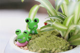 XBJ049 Mini Artificial Frog 2Pcs  Decoration Accessories Fairy Garden Miniatures DIY Craft Micro Landscaping Decor for Garden