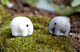 XBJ141 Mini 5pcs Elephant fleshy decoration supplies moss micro landscape deco  Garden deco Creative handicrafts