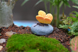 XBJ155 Mini Stone on the animal decoration supplies moss micro landscape deco  Garden deco Creative handicrafts