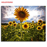HELLOYOUNG DIY Handpainted Oil Painting Proud sunflower Digital Painting by numbers oil paintings chinese scroll paintings