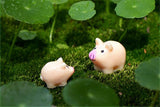 XBJ097 Mini 5pcs Pig mother and piggy decoration supplies moss micro landscape deco  Garden deco Creative handicrafts