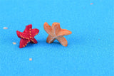XBJ167 Mini 8pcs Small starfish decoration supplies moss micro landscape deco  Garden deco Creative handicrafts