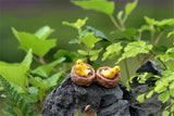 XBJ086 Mini 4pcs Oriole bird Bottle decoration supplies moss micro landscape deco  Garden deco Creative handicrafts