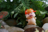 XBJ107 Mini 6PCS piggy decor supplies moss micro landscape deco  Garden deco Creative handicrafts