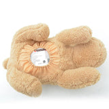 AsyPets Novelty Napkin Holder Cute Teddy Plush Doll Tissue Box Cover Dispenser