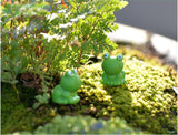 XBJ094 Mini 5pcs Blue eyes small frogs decoration supplies moss micro landscape deco  Garden deco Creative handicrafts
