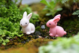 XBJ118 Mini 6pcs Pink and white rabbit decoration supplies moss micro landscape deco  Garden deco Creative handicrafts