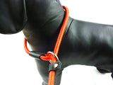 Pet dogs lead competitio Game Training Walk Small Medium Large Pet Dog Leash ADJUSTABLE Traction Collar Rope Chain Harness Nylon