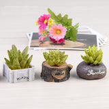 XBJ059 Craft Mini Simulation Resin Succulents Models Garden Miniatures Potted Plants Ornament Home Decor