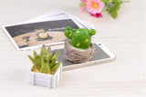 XBJ059 Craft Mini Simulation Resin Succulents Models Garden Miniatures Potted Plants Ornament Home Decor