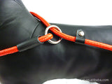 Pet dogs lead competitio Game Training Walk Small Medium Large Pet Dog Leash ADJUSTABLE Traction Collar Rope Chain Harness Nylon