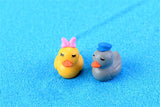 XBJ181 Mini 5pcs Couple ducks decoration supplies moss micro landscape deco  Garden deco Creative handicrafts