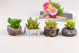 XBJ059 Craft Mini Simulation Resin Succulents Models Garden Miniatures Potted Plants Ornament Home Decor