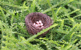 XBJ037 Mini Egg Resin Quail Eggs 12pcs Pigeon Eggs Simulation Mini Bird Egg Dollhouse Moss Micro Landscape Ornaments