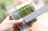 XBJ056 Moss Bottle Micro Landscape Accessories Material Dedicated Ecology Glaucum Home Yard Garden Bonsai Decoration