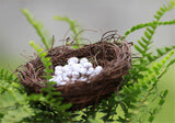 XBJ037 Mini Egg Resin Quail Eggs 12pcs Pigeon Eggs Simulation Mini Bird Egg Dollhouse Moss Micro Landscape Ornaments