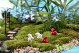 XBJ101 Mini 8pcs Red and white rabbit decor supplies moss micro landscape deco  Garden deco Creative handicrafts