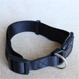 CW019 New Fashion Nylon dog collars for small dogs Pet Cat Collar 4 Sizes 4 colors adjustable dog collar nylon wholesale