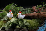 XBJ160 Mini 5pcs White little cock decoration supplies moss micro landscape deco  Garden deco Creative handicrafts