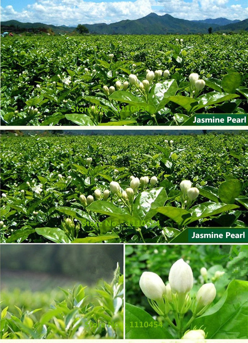 New Natural Jasmine Flower Tea Blooming Fresh Herbal Green Tea Hot Sale 250g