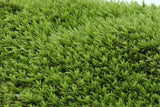 XBJ056 Moss Bottle Micro Landscape Accessories Material Dedicated Ecology Glaucum Home Yard Garden Bonsai Decoration