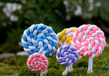 XBJ002 Resin 2 pcs Lollipop Garden Decoration Ornaments Mini Crafts Bonsai Micro Landscape Craft Fairy Garden Miniatures