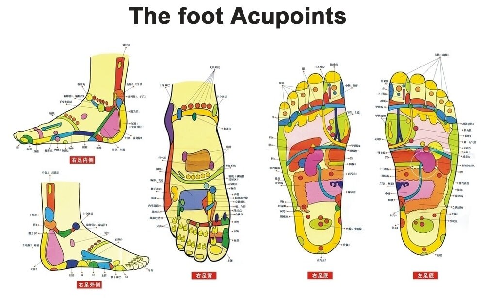 Detox Medical Foot Patches Herbal plasters weight lose Feet Slimming Cleansing Foot 20pcs=(10pcs Patches+10pcs Adhesives)