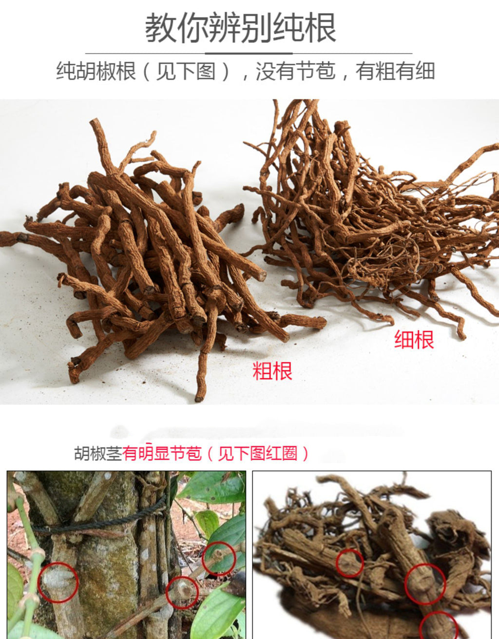Hainan pepper root 250g authentic farmhouse red soil old pepper root stewed in soup with pork tripe soaked in wine medicinal material is not wild 海南胡椒根250g正宗农家红土壤老胡椒根煲汤炖猪肚泡酒药材非野生