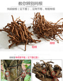 Hainan pepper root 250g authentic farmhouse red soil old pepper root stewed in soup with pork tripe soaked in wine medicinal material is not wild 海南胡椒根250g正宗农家红土壤老胡椒根煲汤炖猪肚泡酒药材非野生
