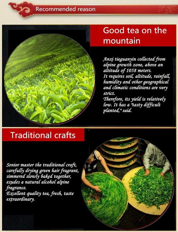 TemuTea 10 bags Iron Cans Gift Packing TiKuanYin Green Tea Tie Guan Yin Tea ANXI Oolong Tea