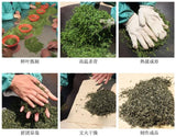 500g New Spring BiLuoChun Green Tea Bi Luo Chun Tea Green Tea  Food Health Tea