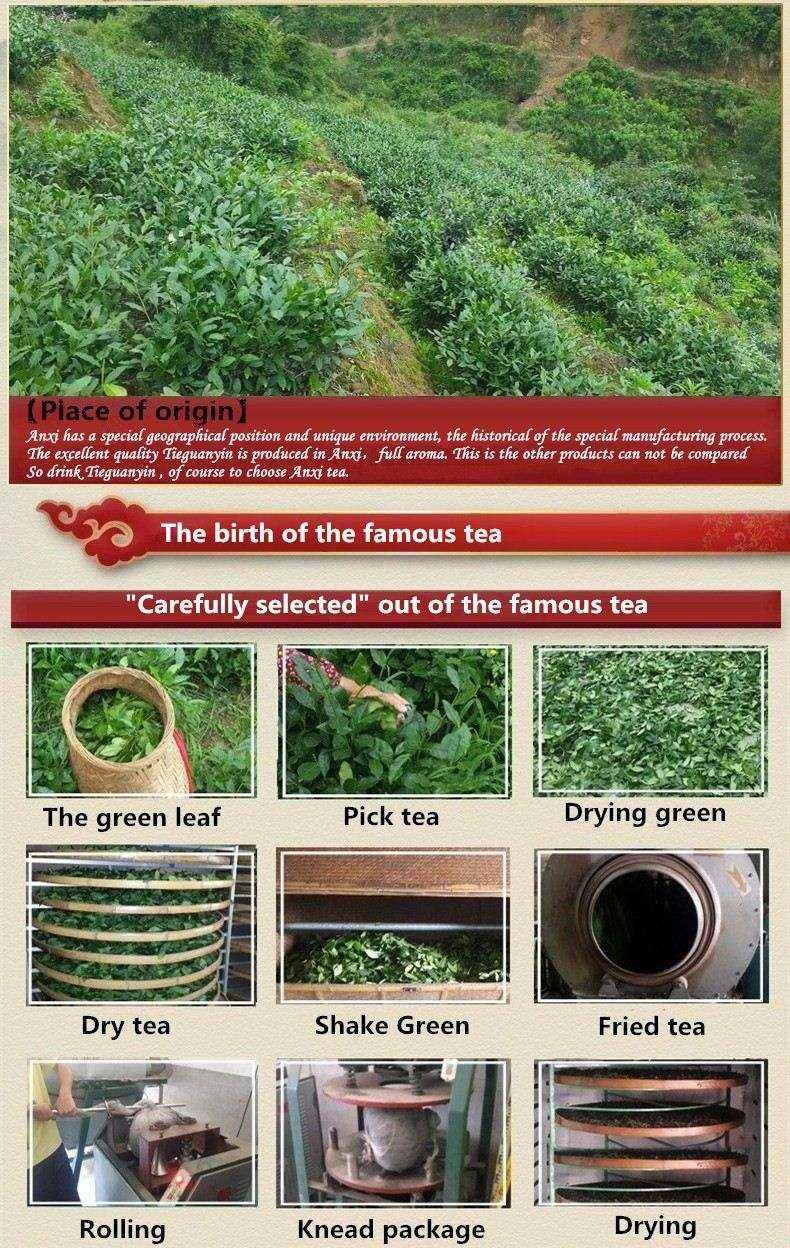 TemuTea 10 bags Iron Cans Gift Packing TiKuanYin Green Tea Tie Guan Yin Tea ANXI Oolong Tea