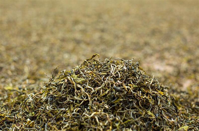 Ripe Puer Tea Cake TAETEA Cooked Pu-erh Pu Erh Dayi 7692 Green Food Yunnan 357g