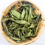 Organic Stevia Sweet Leaf Herbal Tea Green Tea Loose Leaf Tea Chinese Green Tea