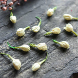 High Quality Flower Tea Jasmine New Dried Jasmine Bud Non Aromatic Weight Loose